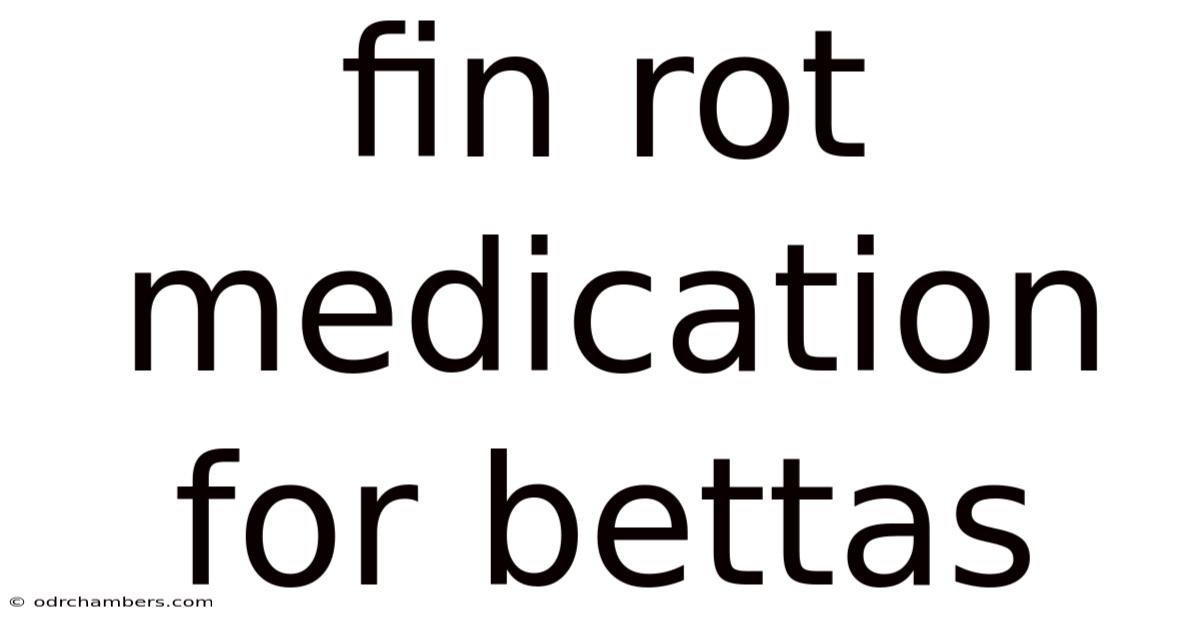 Fin Rot Medication For Bettas