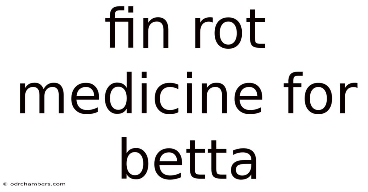 Fin Rot Medicine For Betta