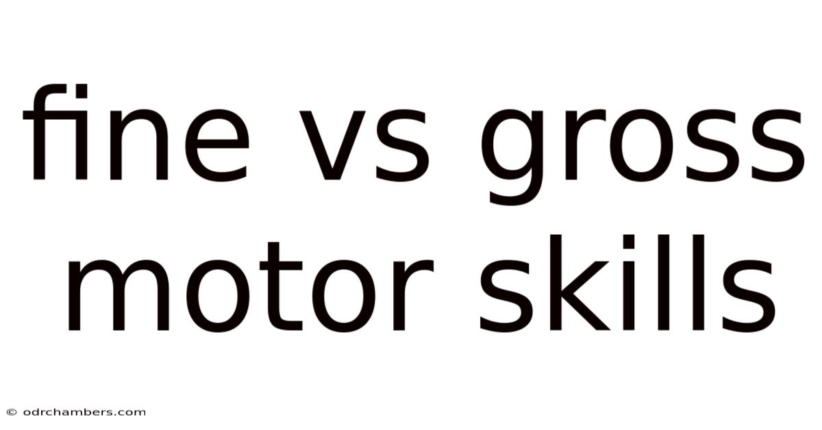 Fine Vs Gross Motor Skills