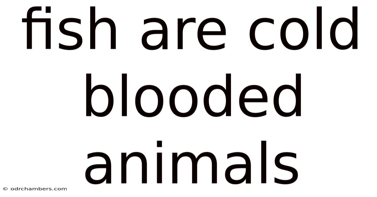 Fish Are Cold Blooded Animals