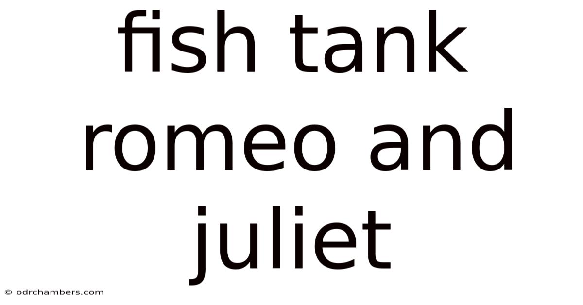 Fish Tank Romeo And Juliet
