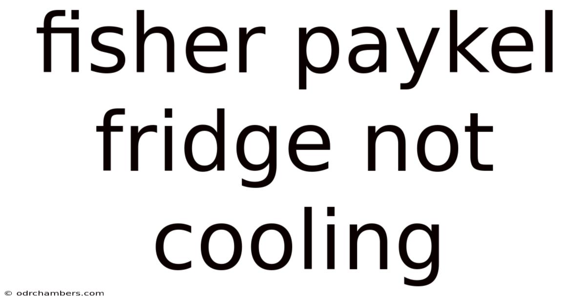 Fisher Paykel Fridge Not Cooling