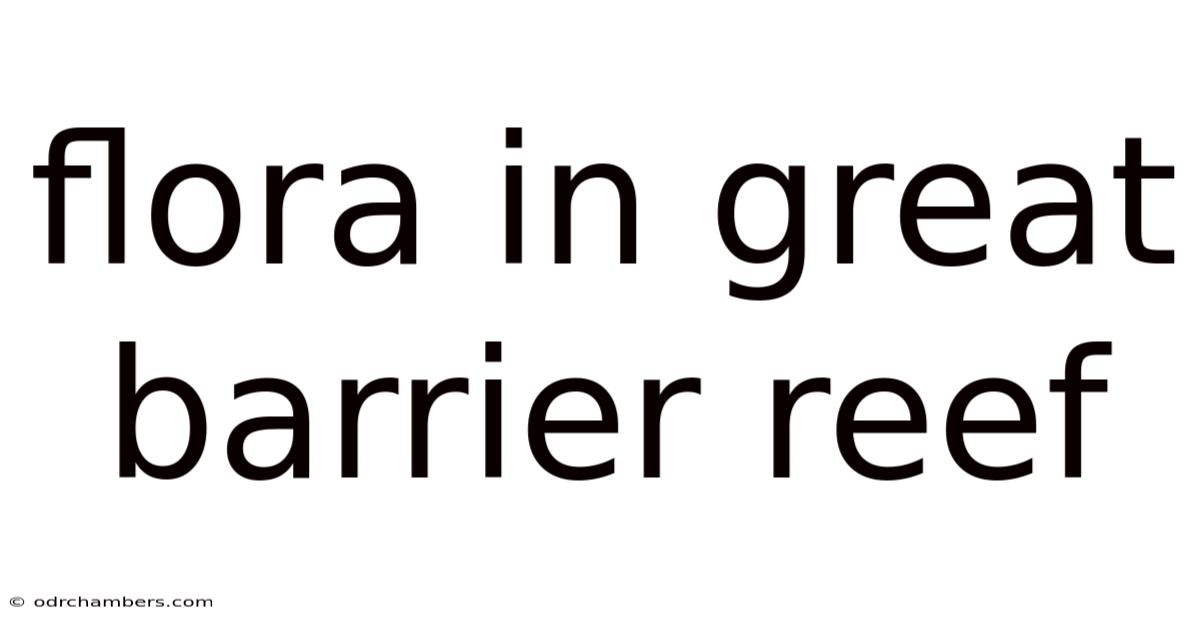 Flora In Great Barrier Reef