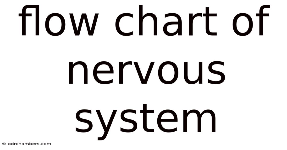 Flow Chart Of Nervous System