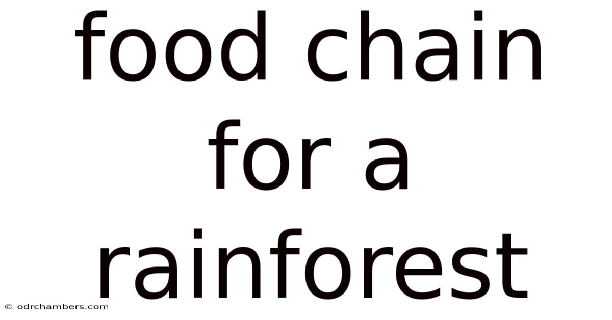 Food Chain For A Rainforest