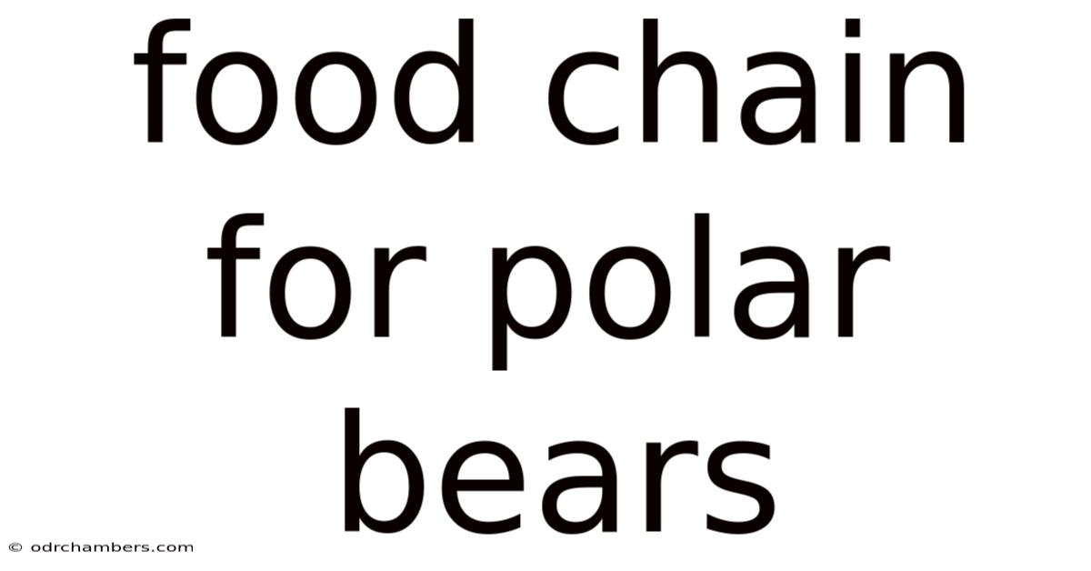 Food Chain For Polar Bears