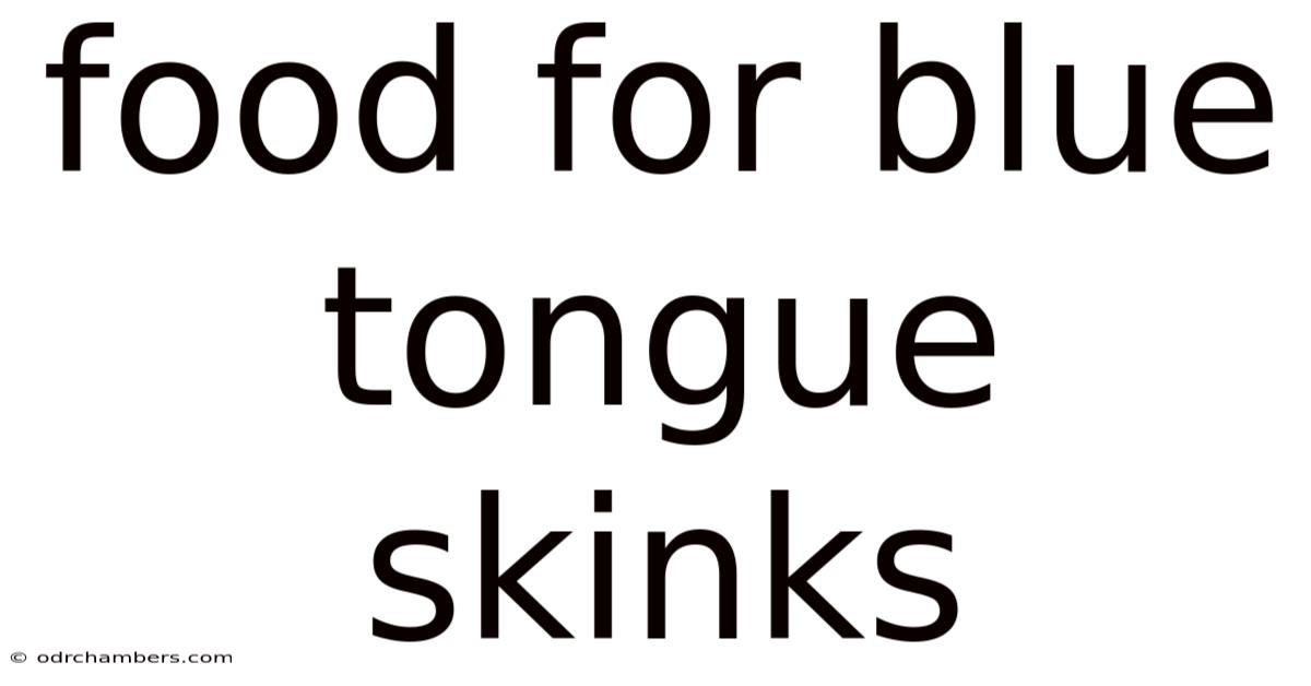 Food For Blue Tongue Skinks