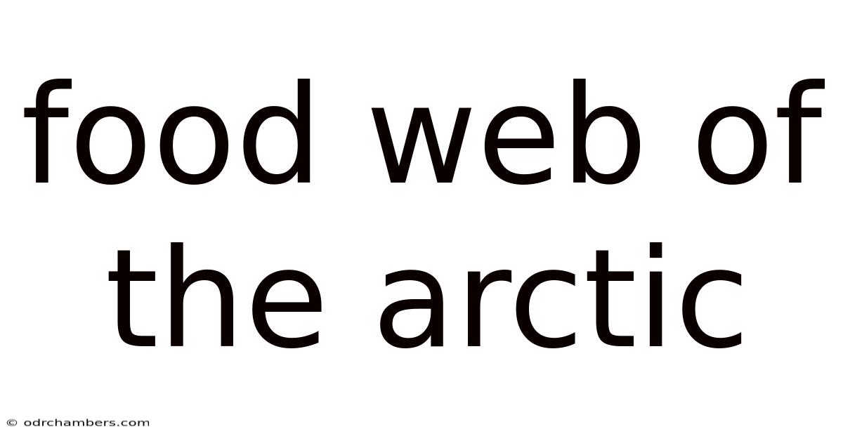 Food Web Of The Arctic