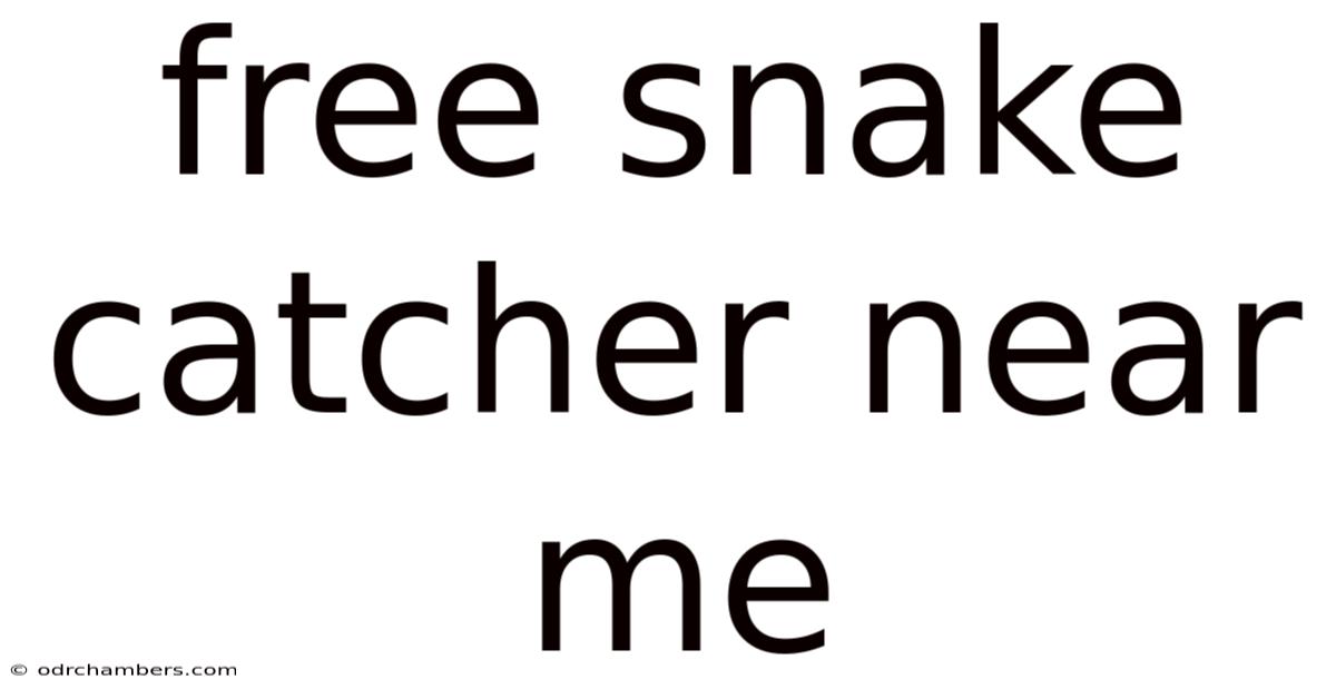 Free Snake Catcher Near Me