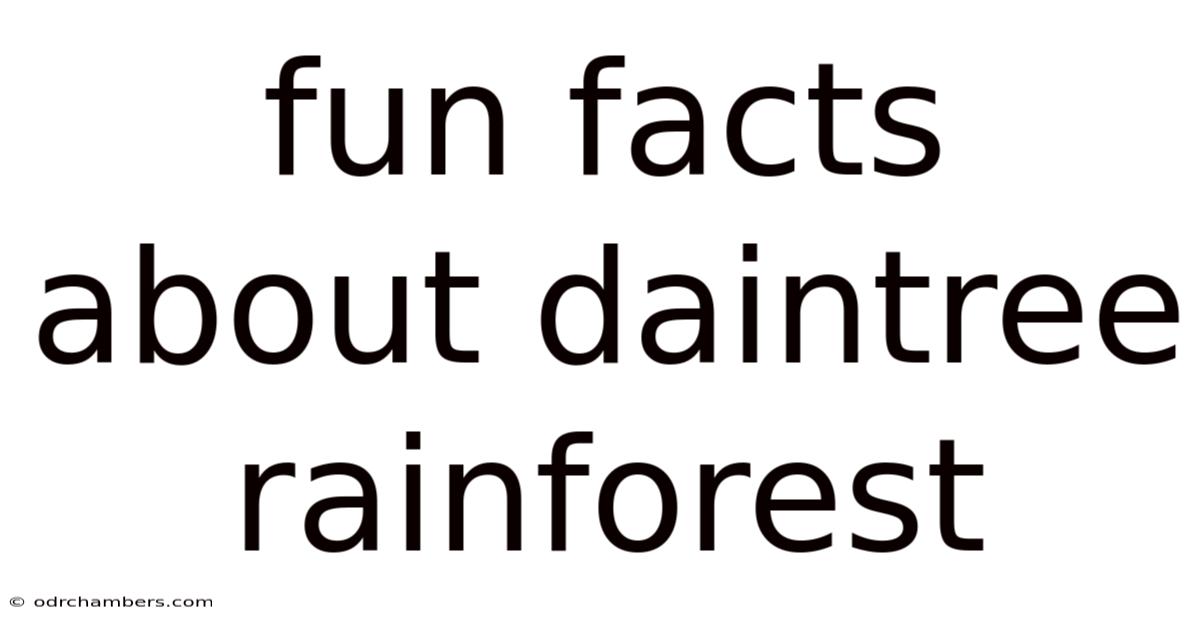 Fun Facts About Daintree Rainforest