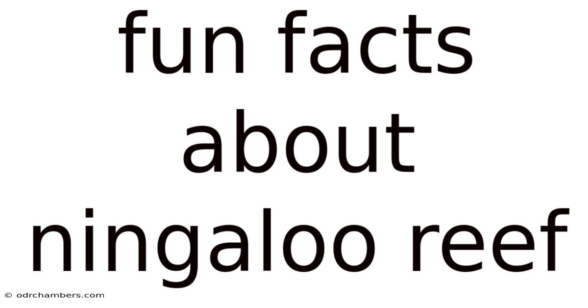 Fun Facts About Ningaloo Reef