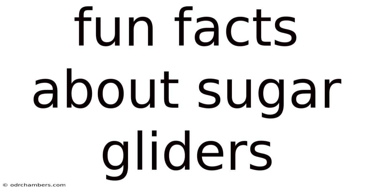 Fun Facts About Sugar Gliders