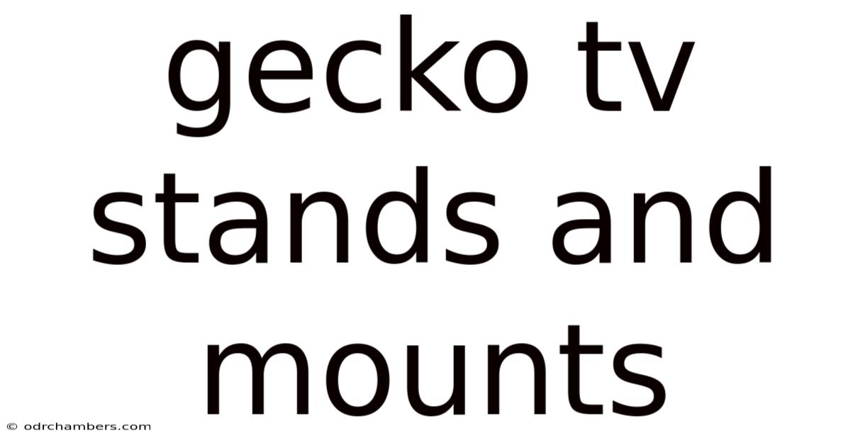 Gecko Tv Stands And Mounts