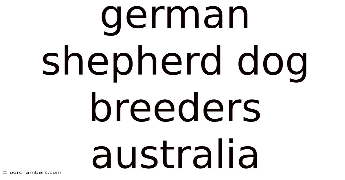German Shepherd Dog Breeders Australia