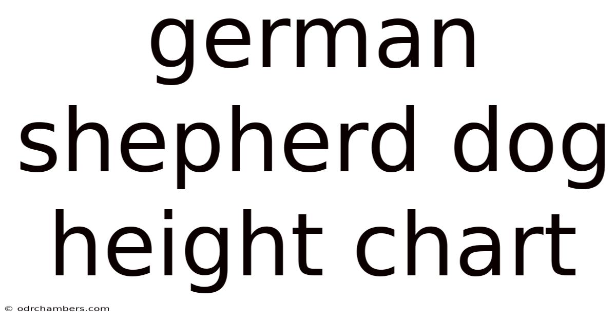 German Shepherd Dog Height Chart