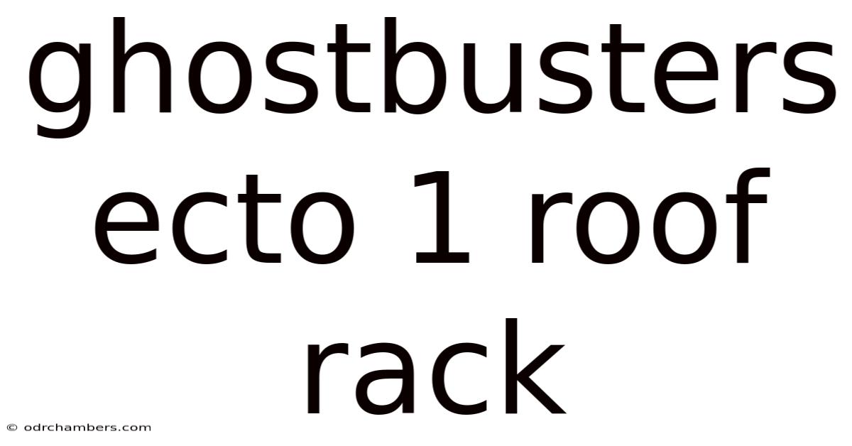 Ghostbusters Ecto 1 Roof Rack