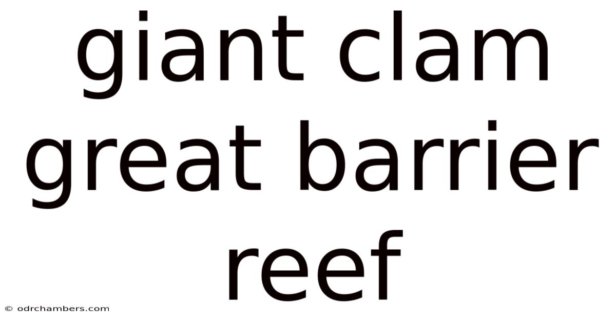 Giant Clam Great Barrier Reef