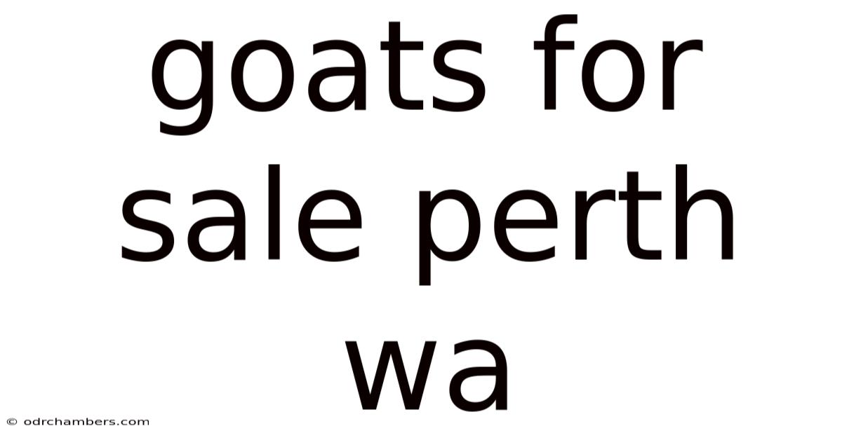 Goats For Sale Perth Wa