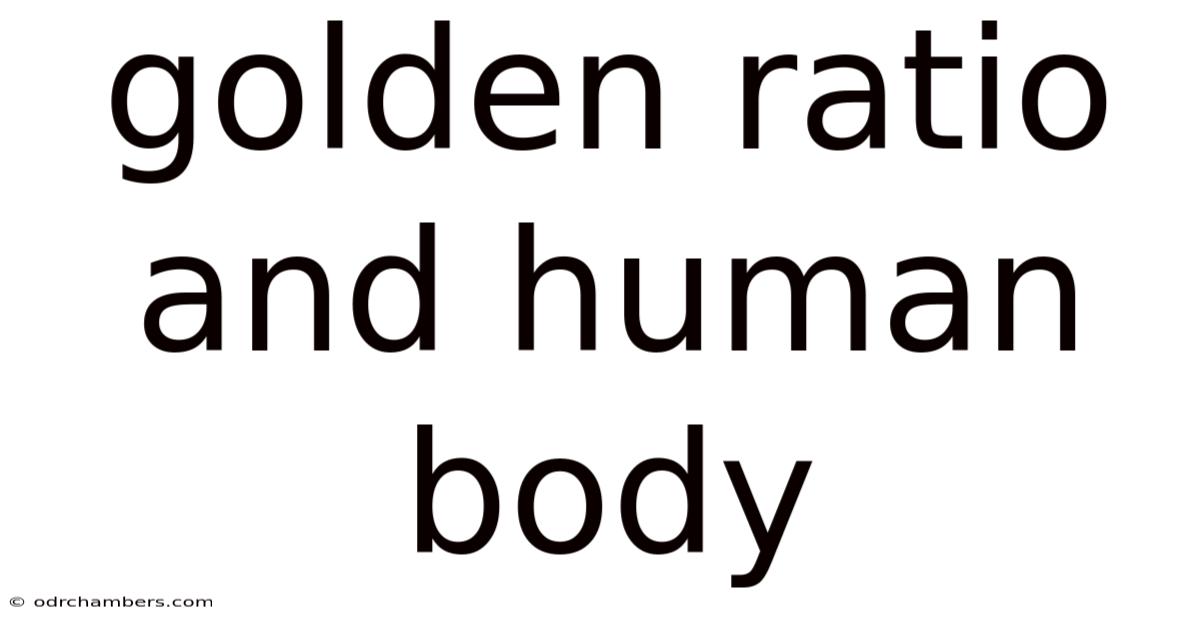 Golden Ratio And Human Body