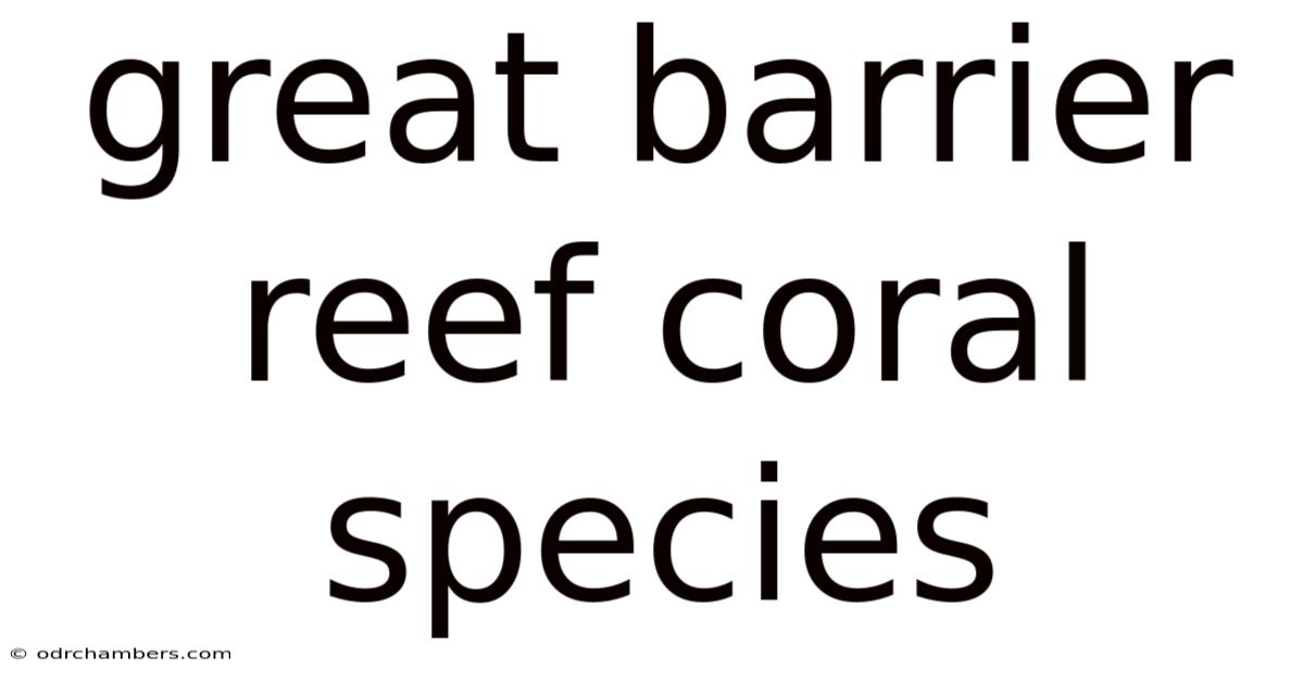 Great Barrier Reef Coral Species