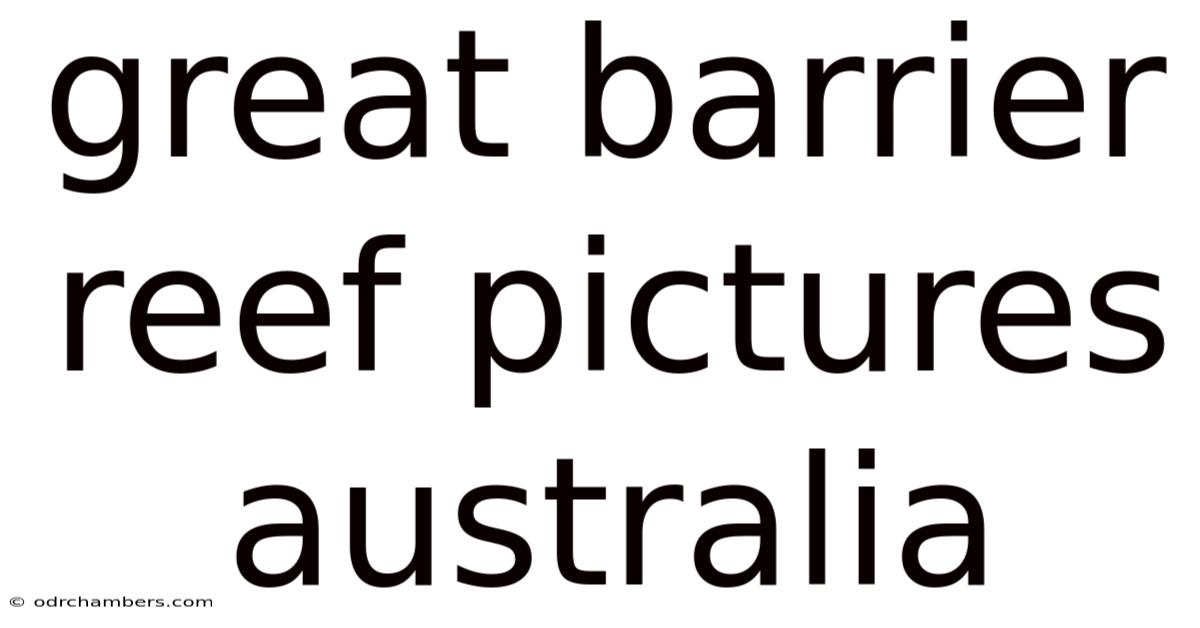 Great Barrier Reef Pictures Australia