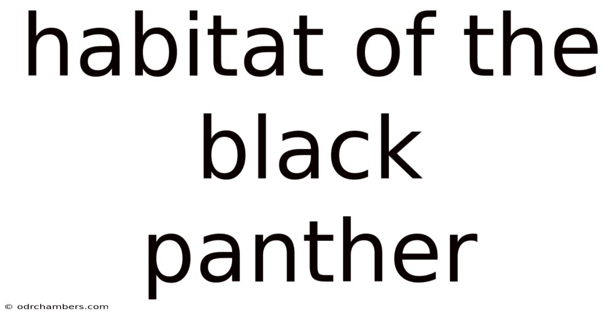 Habitat Of The Black Panther