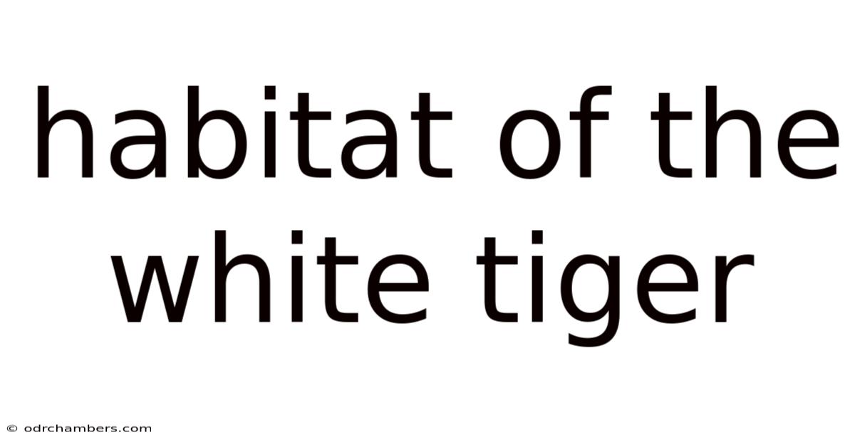 Habitat Of The White Tiger