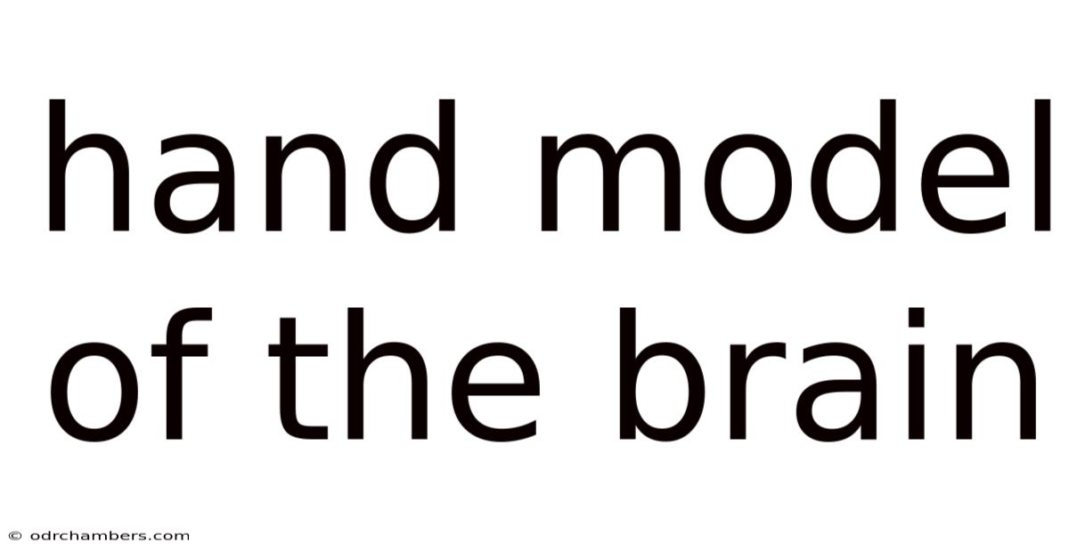 Hand Model Of The Brain