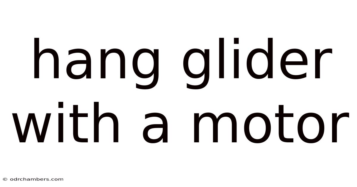 Hang Glider With A Motor