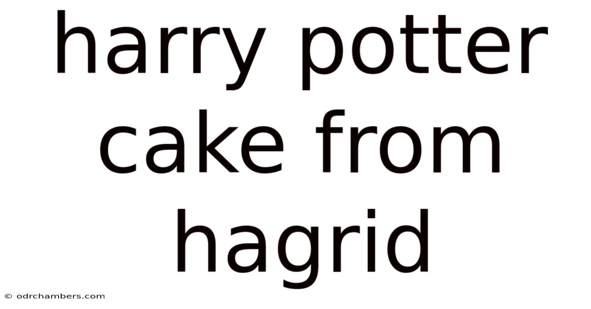 Harry Potter Cake From Hagrid