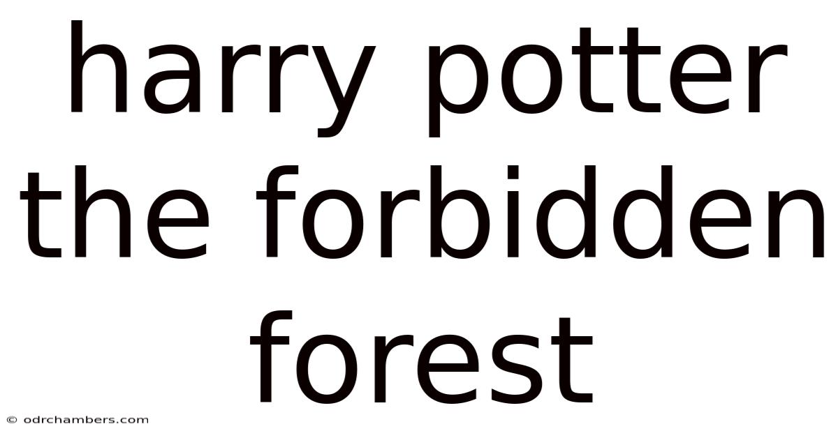 Harry Potter The Forbidden Forest