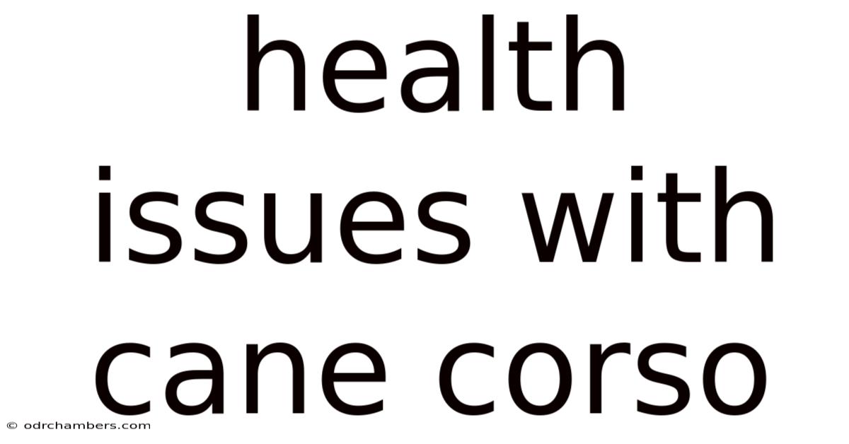 Health Issues With Cane Corso