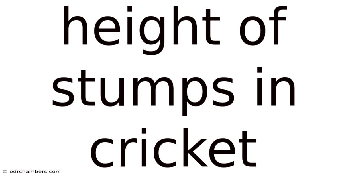 Height Of Stumps In Cricket