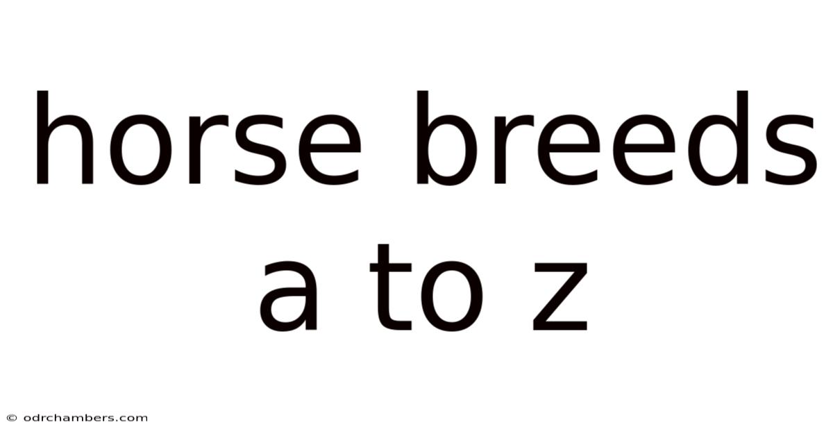 Horse Breeds A To Z