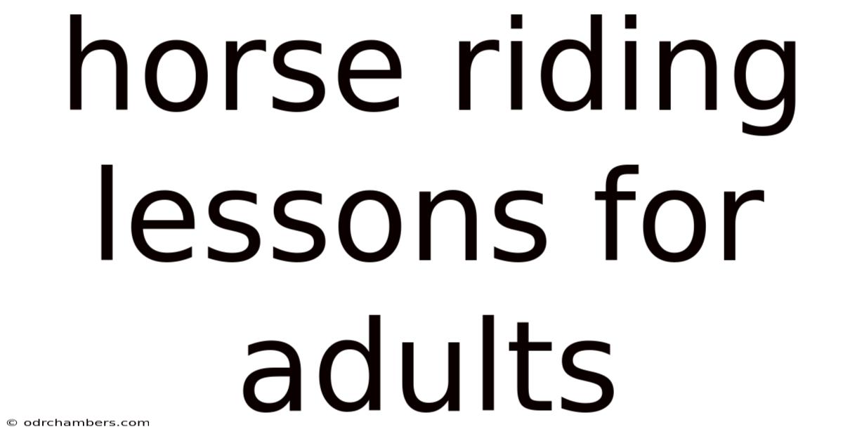 Horse Riding Lessons For Adults