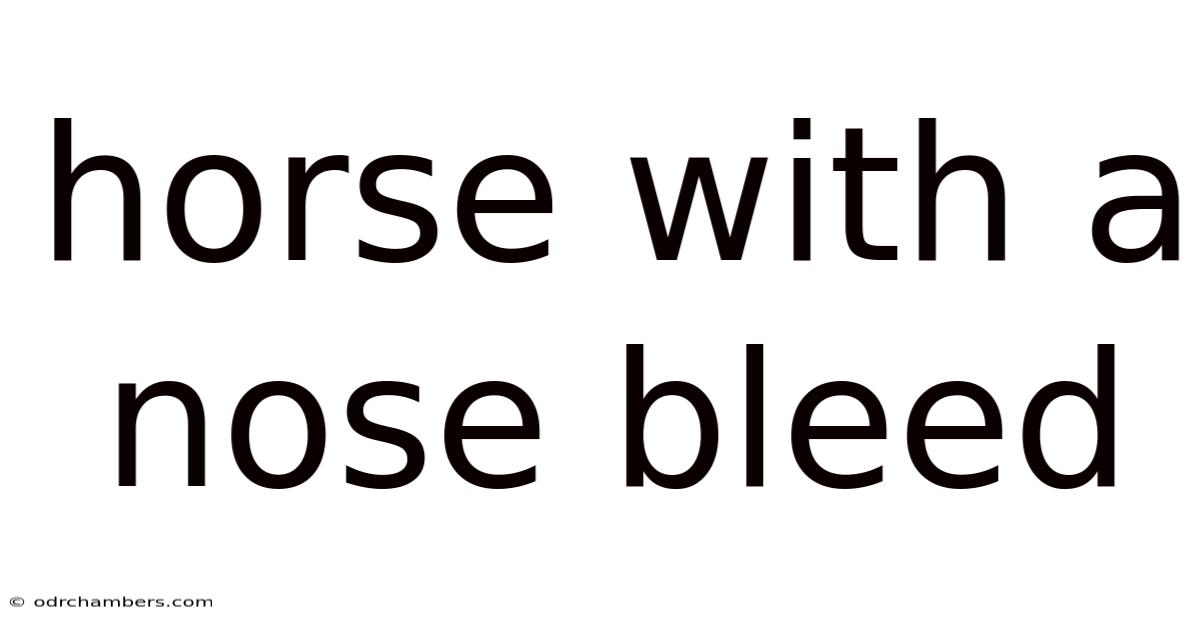 Horse With A Nose Bleed
