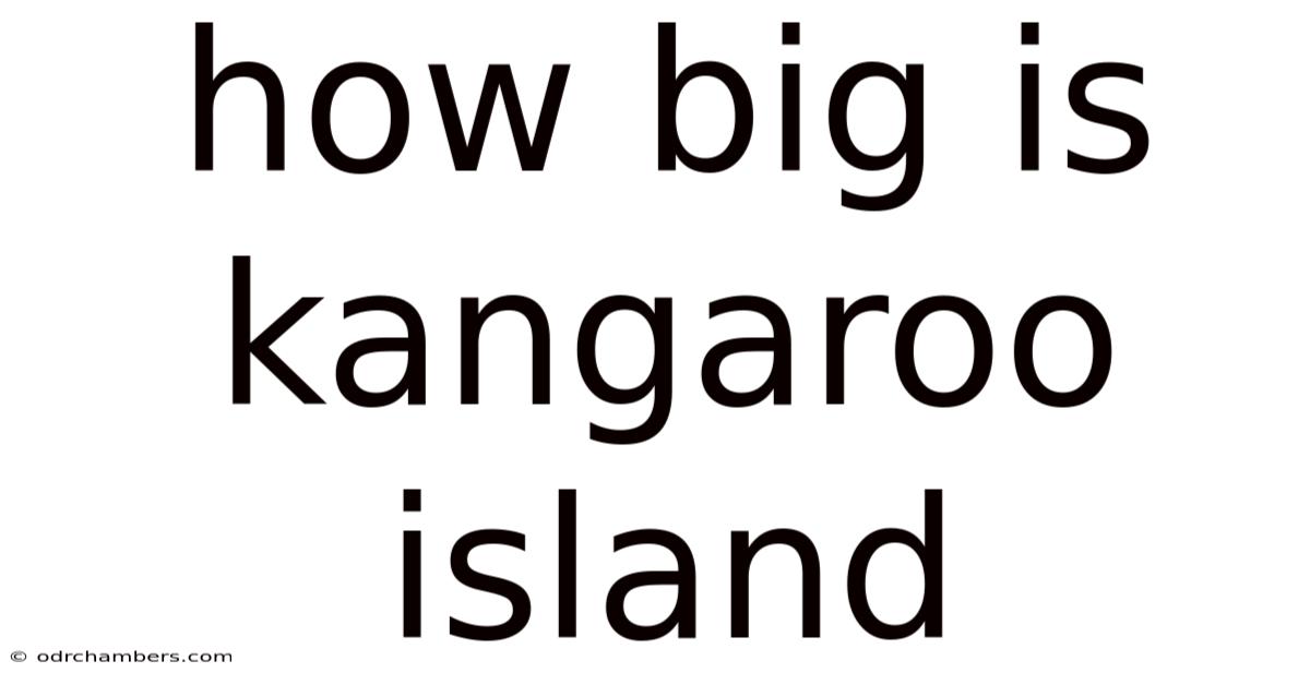 How Big Is Kangaroo Island