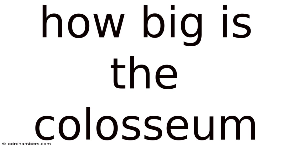How Big Is The Colosseum
