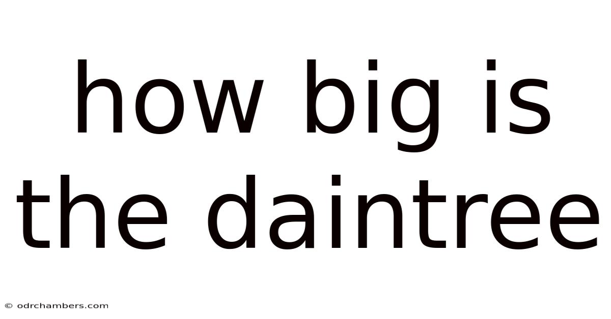 How Big Is The Daintree