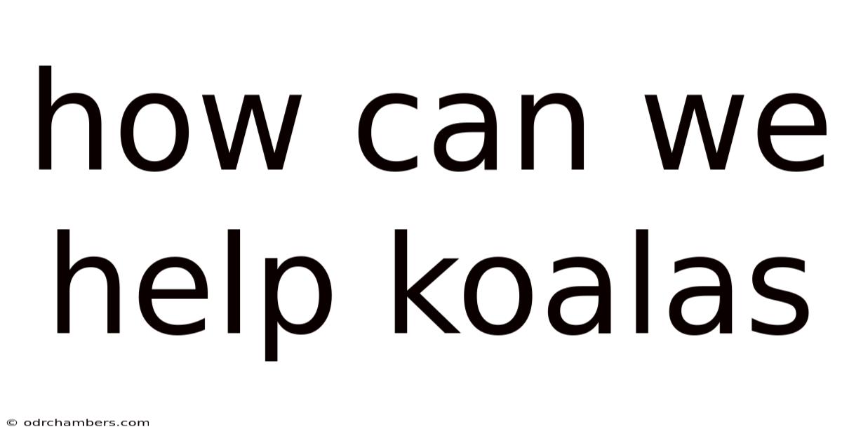 How Can We Help Koalas