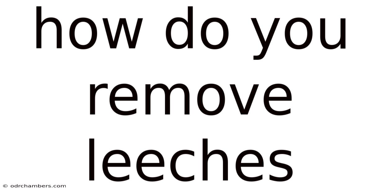 How Do You Remove Leeches