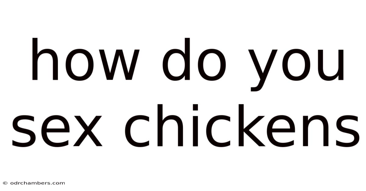 How Do You Sex Chickens