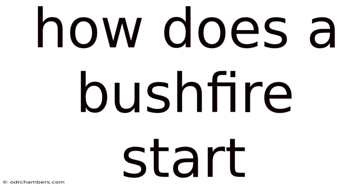 How Does A Bushfire Start