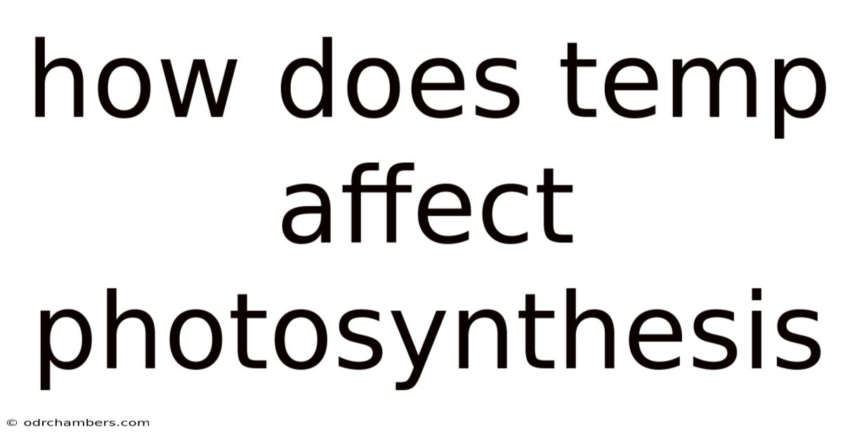 How Does Temp Affect Photosynthesis