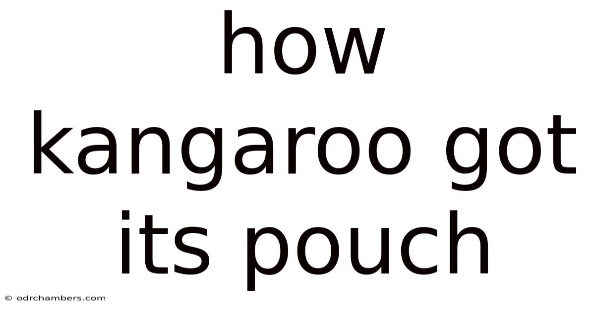 How Kangaroo Got Its Pouch