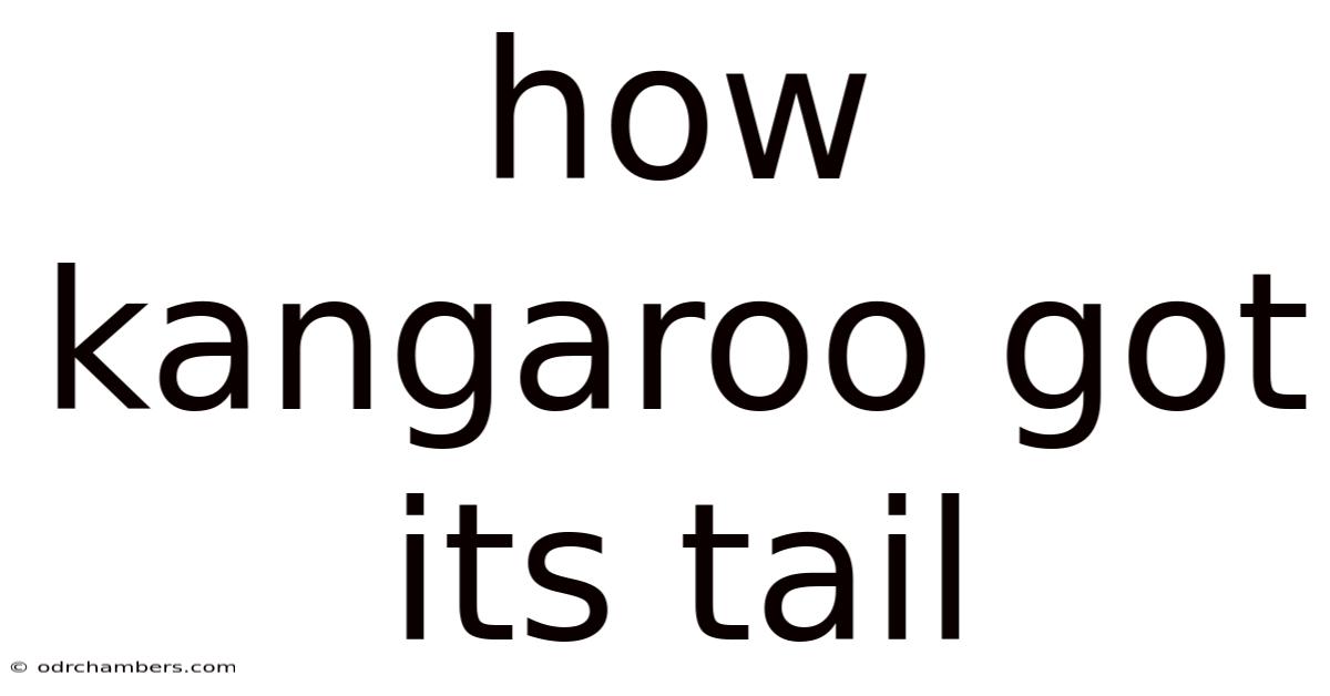 How Kangaroo Got Its Tail