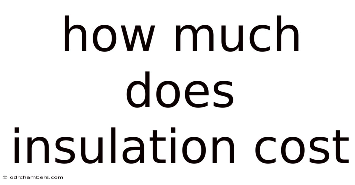 How Much Does Insulation Cost