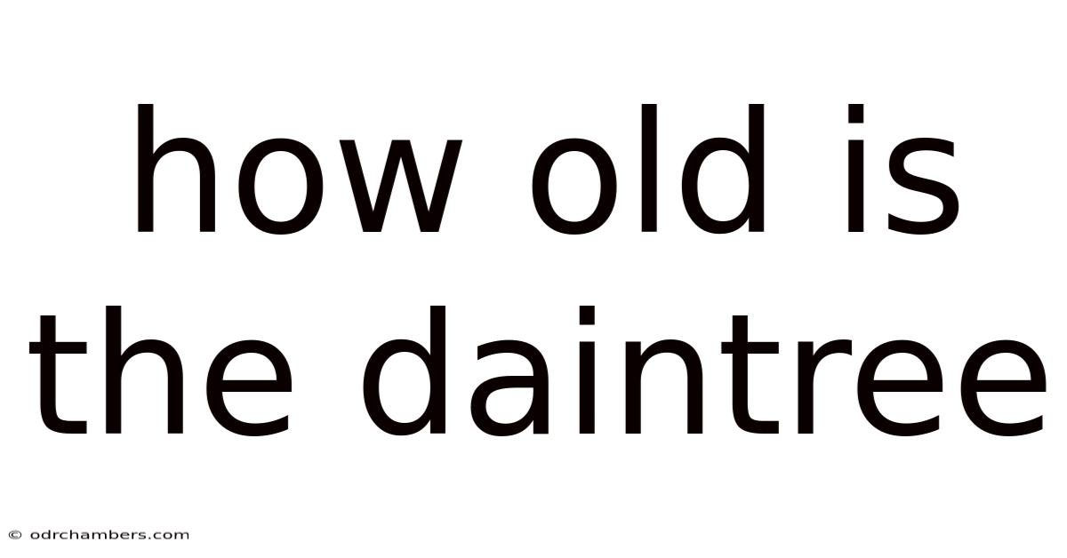 How Old Is The Daintree