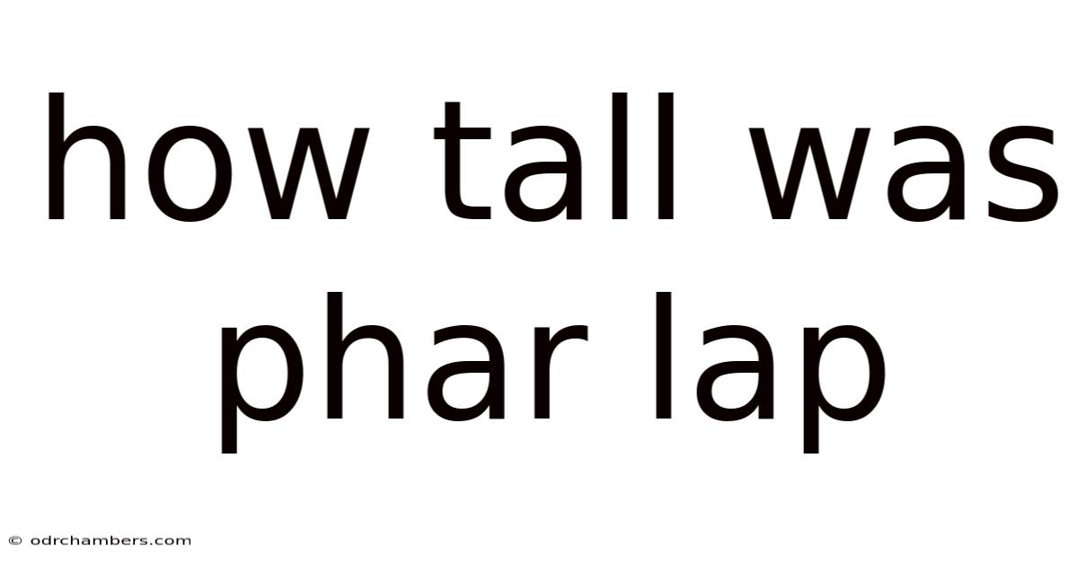 How Tall Was Phar Lap