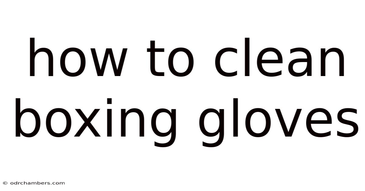 How To Clean Boxing Gloves